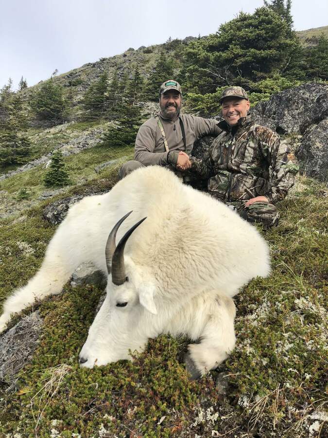 A Mountain Goat on a rocky cliff